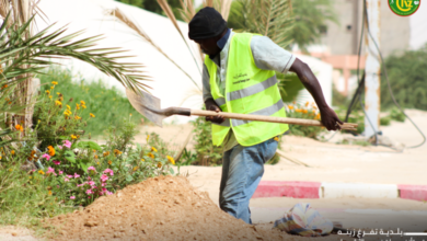 Photo de LA MUNICIPALITE DE TEVRAGH ZEINA REPREND  LA CAMPAGNE DE PLANTATION D’ARBRES  DANS PLUSIEURS AVENUES