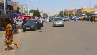 صورة بلدية تفرغ زينه تطلق حملة لتنظيم الشوارع الرئيسية