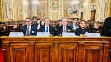 صورة عمدة تفرغ زينه يشارك في الدورة السادسة عشرة للجلسة العامة للجمعية الإقليمية والمحلية الأورومتوسطية (ARLEM) في باليرمو – إيطاليا